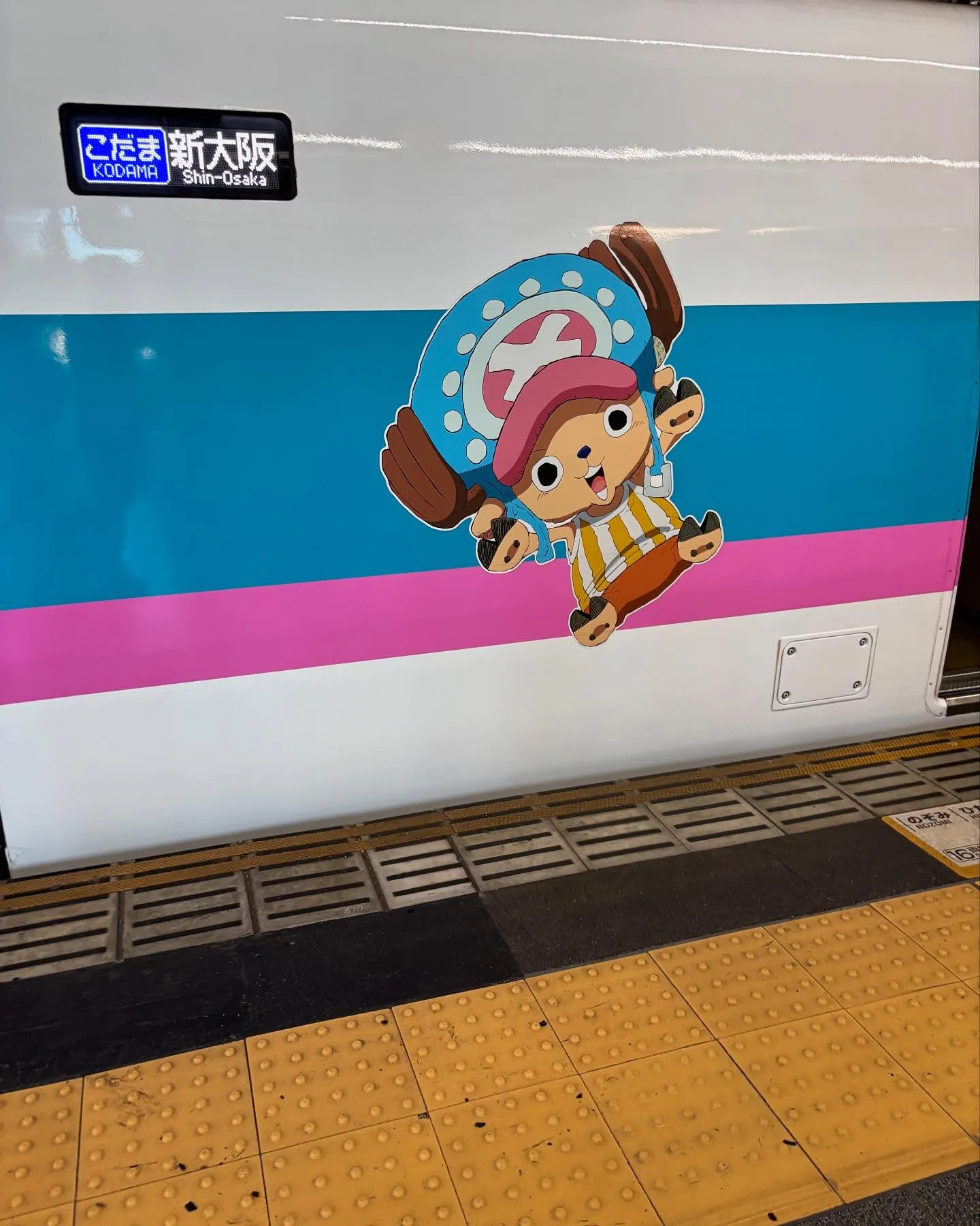 全国高校総体での陸上競技のトレーナー活動のご依頼をいただき、...