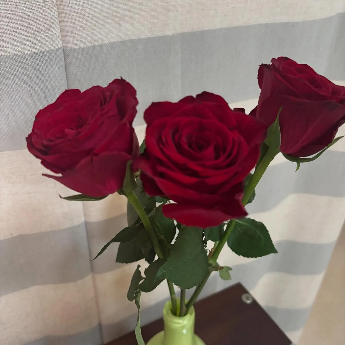 今週の出迎え花