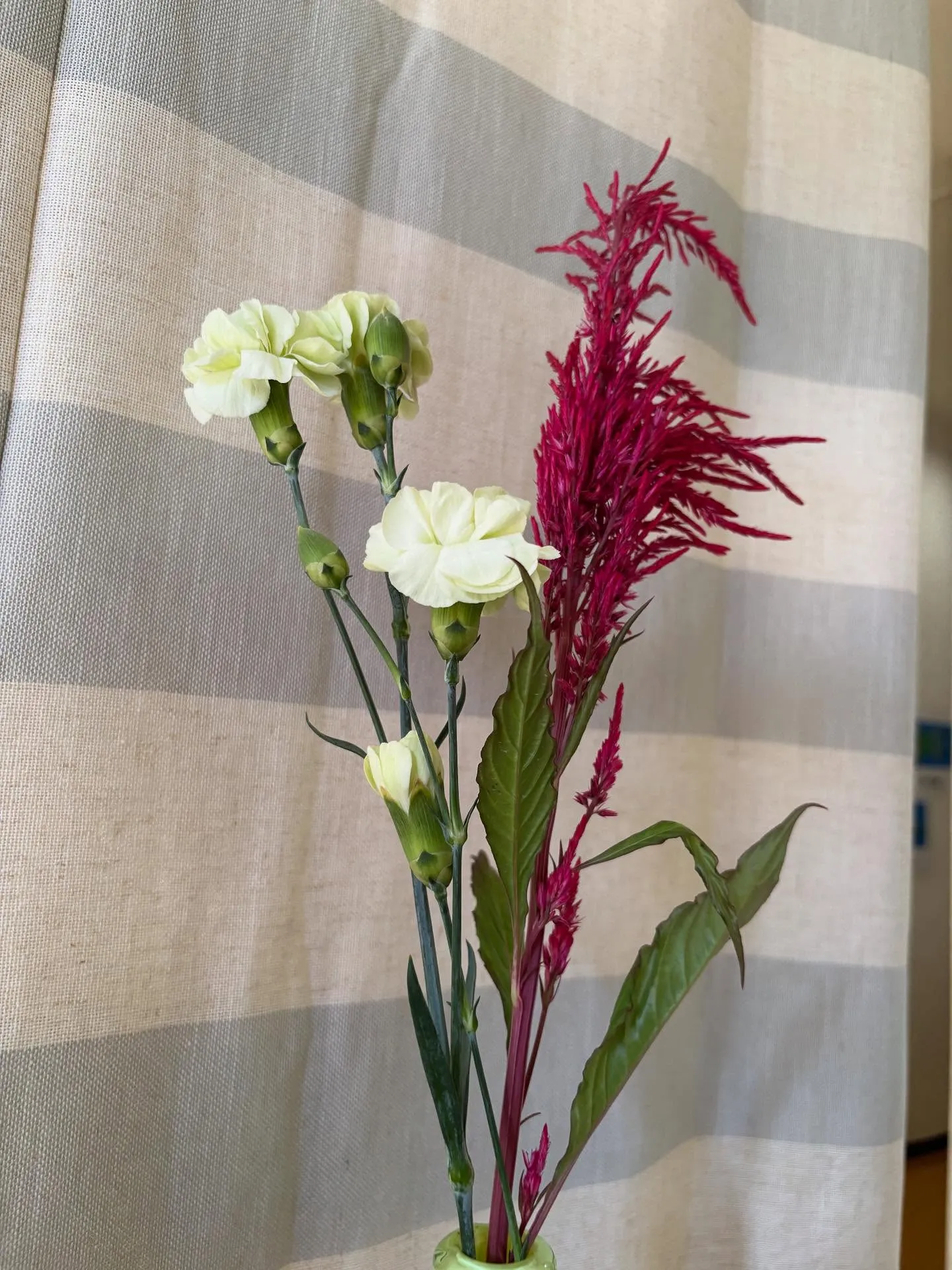 今週の出迎え花