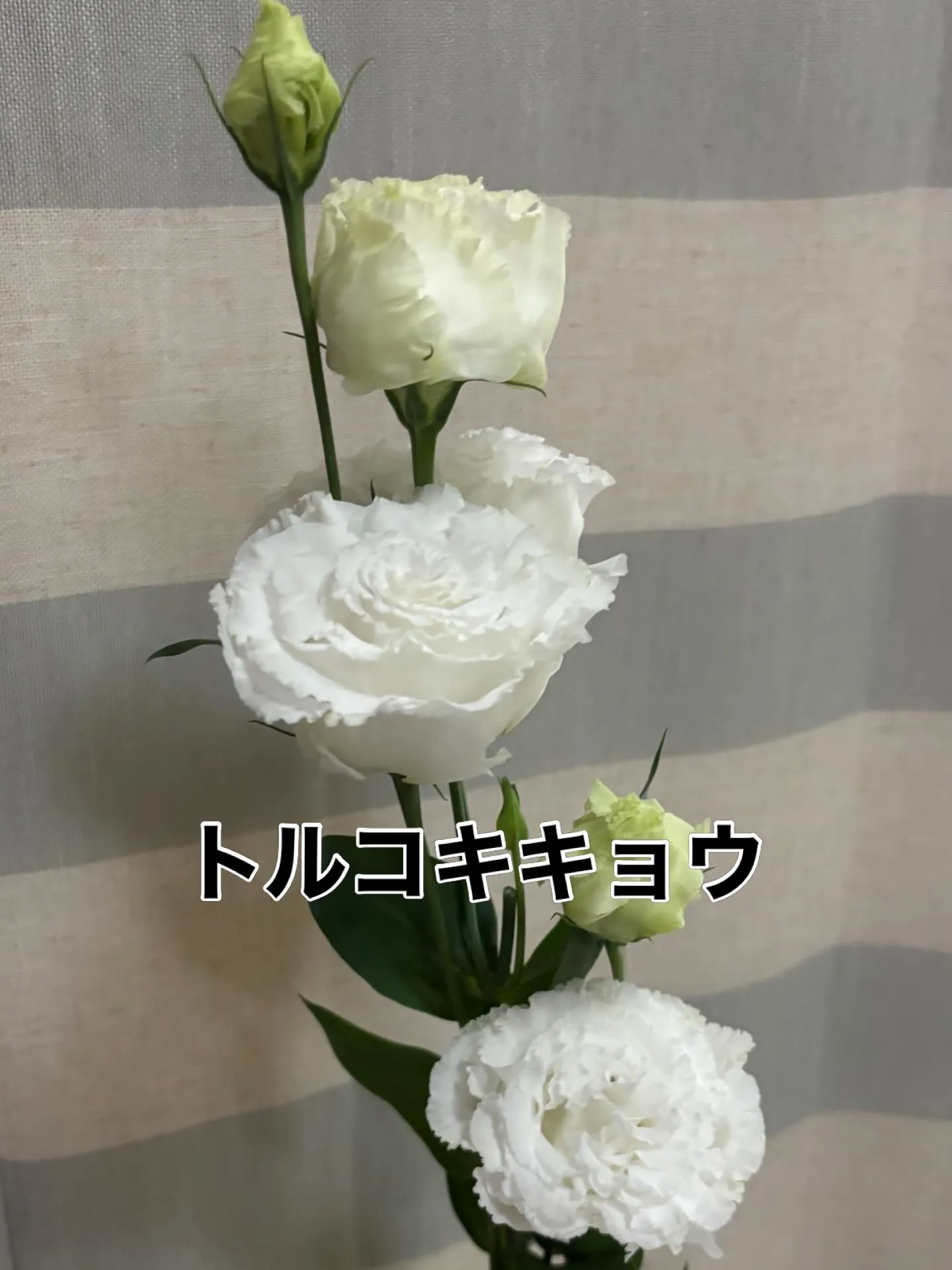 今週の出迎え花